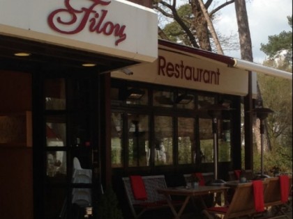 照片: Filou